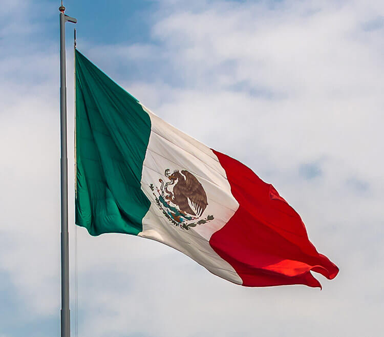 进驻墨西哥最热电商平台，直接用墨西哥比索收款！